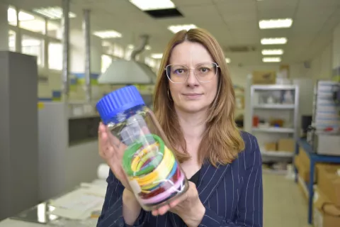 dr hab. inż. Anna Masek, prof. PŁ